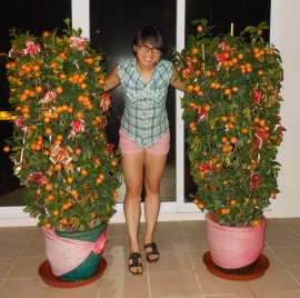 Me with the Chinese New Year lemon trees or something idk.